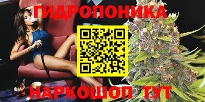 2c-b Абакан
