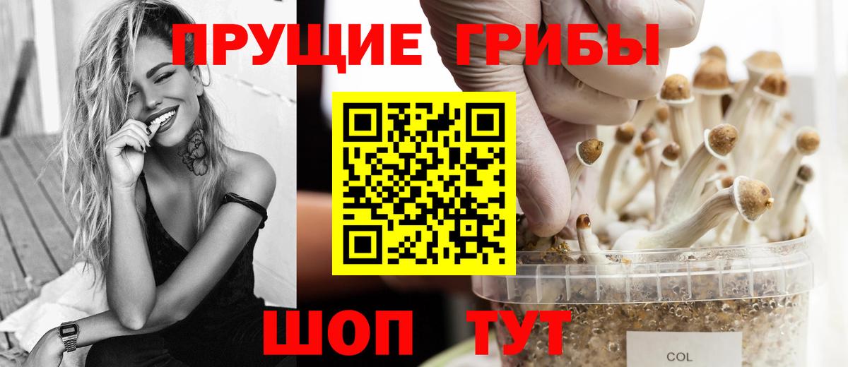 Галлюциногенные грибы Cubensis  Вход с VPN  Азнакаево  Псилоцибиновые грибы Psilocybine cubensis 